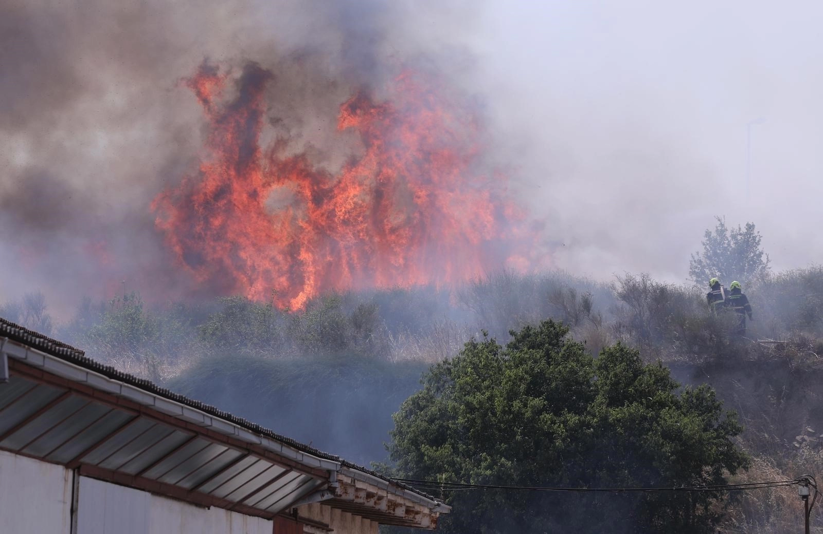 Požar u Splitu, približio se barakama, vatrogasci ga lokalizirali